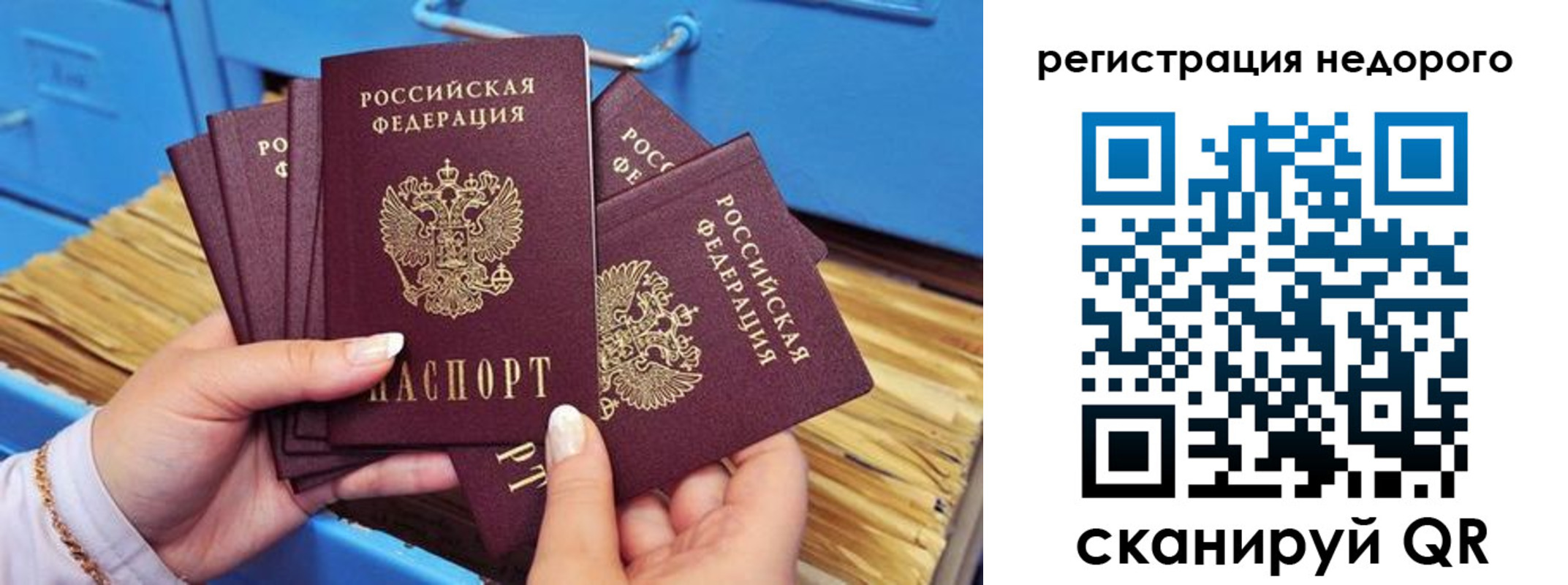 прописка паспорт в Вологде
